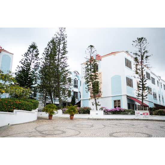 D'Manor, S$ 2,520 (最低价格) /月, 148 sqft, 公寓 - Apartment