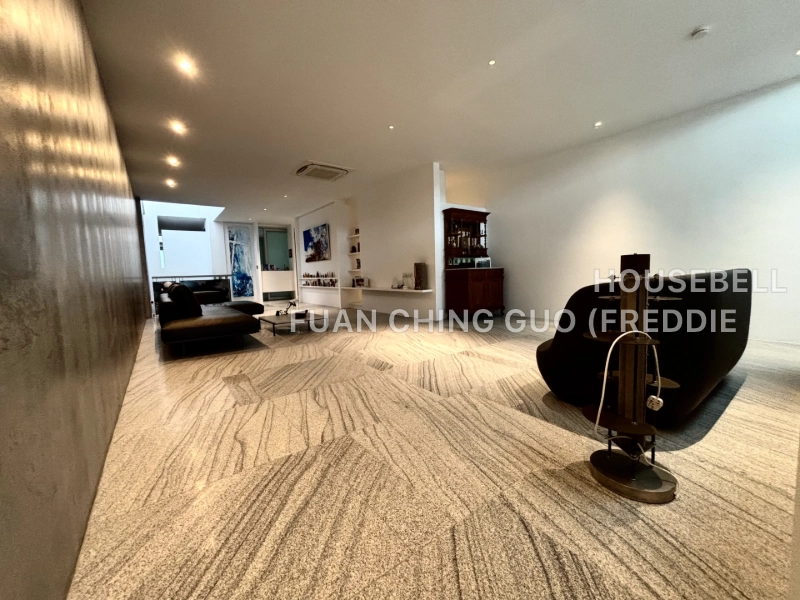 Richards Avenue, S$ 7,490,000 (可协商价格), 6,361 sqft, 有地 - Terraced House