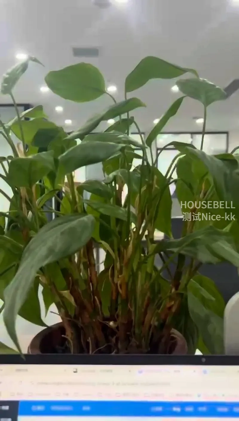 Helicona Lodge, S$ 111 (Starting From), 11 sqft, Landed - Landed