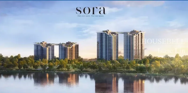 Sora(5)