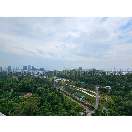 Normanton Park, S$ 1,400,000 (看屋后出价), 667 sqft, 公寓 - Condominium