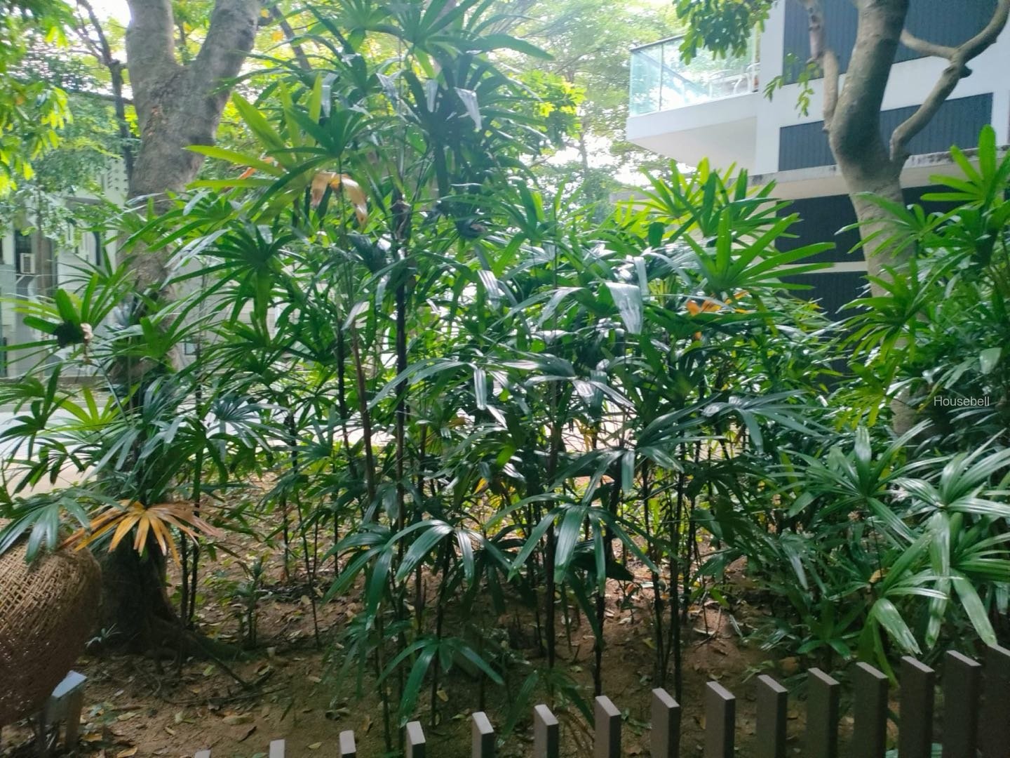 Belle Vue Residences, S$ 4,150,000 (可协商价格), 1,927 sqft, 公寓 - Condominium